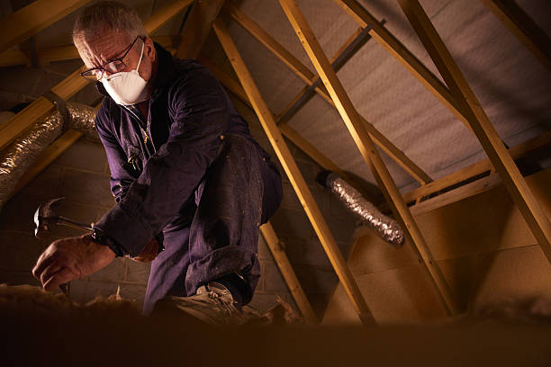 Types of Insulation We Offer in Double Oak, TX